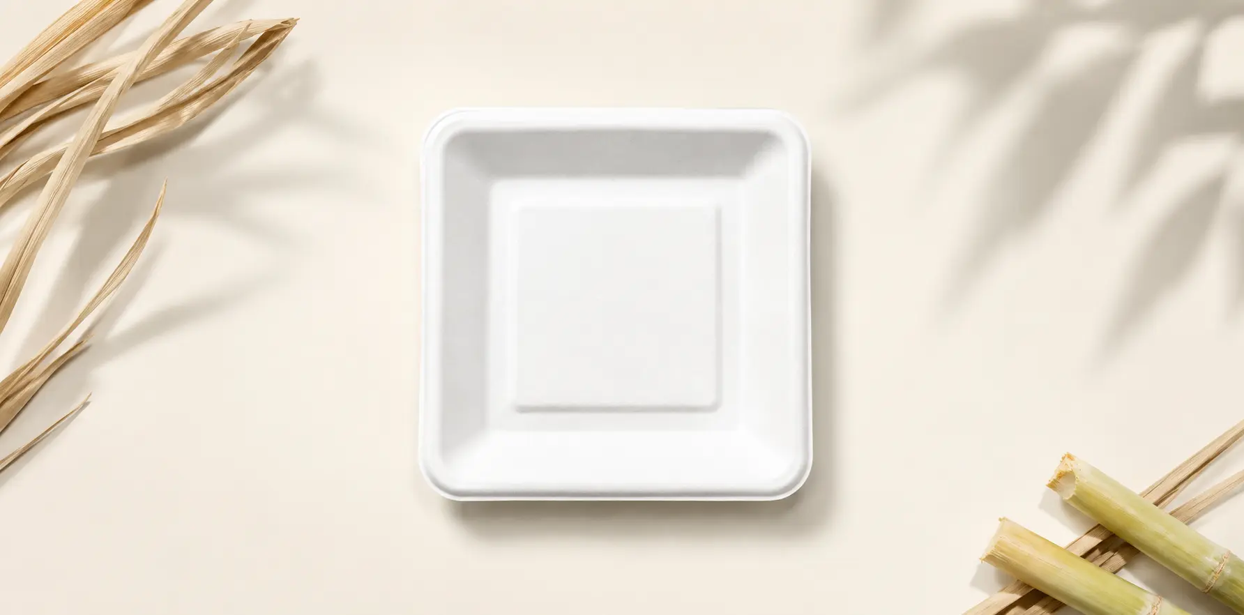 5.5 x 5.5 inch bagasse tray